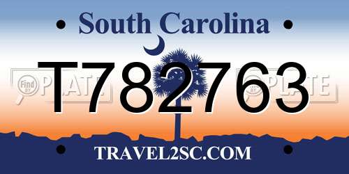 T782763 South Carolina License Plate