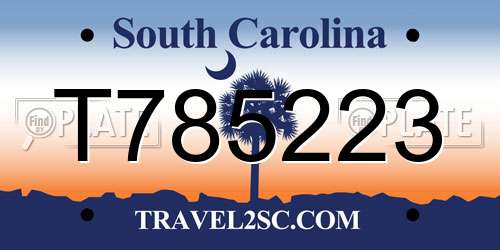 T785223 South Carolina License Plate