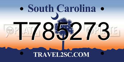 T785273 South Carolina License Plate