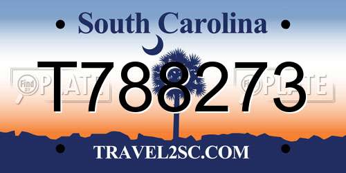 T788273 South Carolina License Plate
