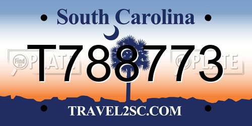 T788773 South Carolina License Plate
