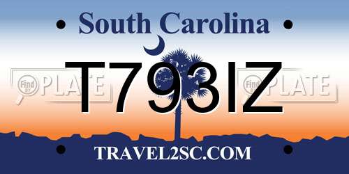 T793IZ South Carolina License Plate