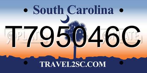 T795046C South Carolina License Plate