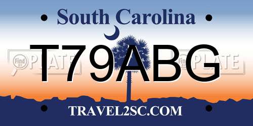 T79ABG South Carolina License Plate