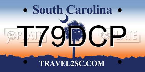 T79DCP South Carolina License Plate
