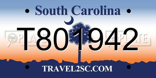 T801942 South Carolina License Plate