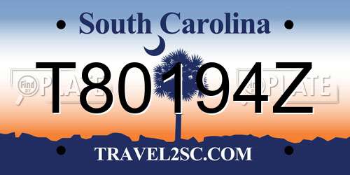 T80194Z South Carolina License Plate