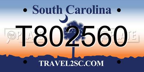 T802560 South Carolina License Plate