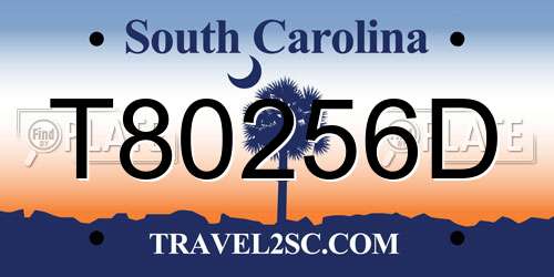 T80256D South Carolina License Plate
