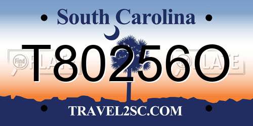 T80256O South Carolina License Plate