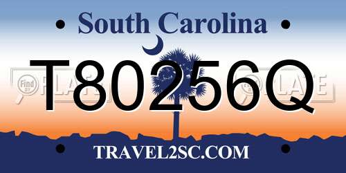 T80256Q South Carolina License Plate