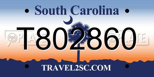T802860 South Carolina License Plate