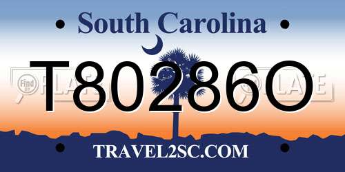 T80286O South Carolina License Plate
