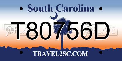 T80756D South Carolina License Plate