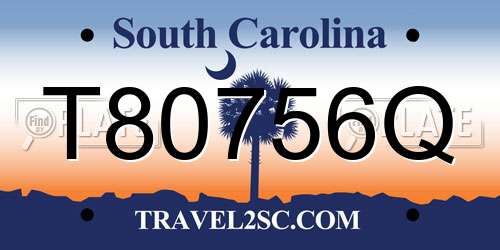 T80756Q South Carolina License Plate
