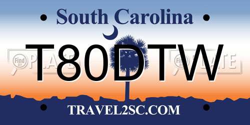 T80DTW South Carolina License Plate