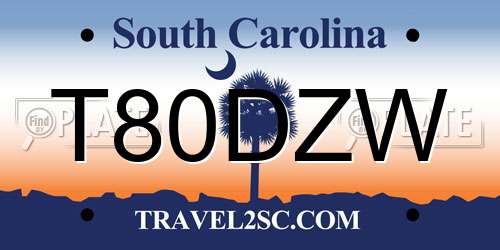 T80DZW South Carolina License Plate