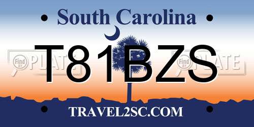 T81BZS South Carolina License Plate