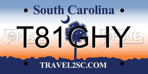 T81GHY South Carolina License Plate
