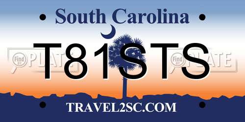 T81STS South Carolina License Plate