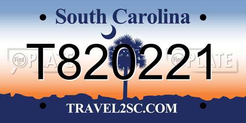 T820221 South Carolina License Plate
