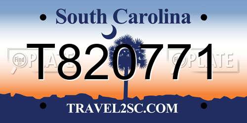 T820771 South Carolina License Plate