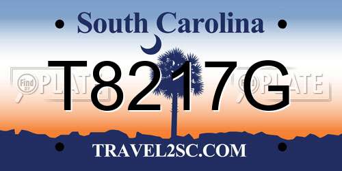 T8217G South Carolina License Plate