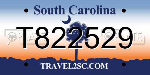 T822529 South Carolina License Plate