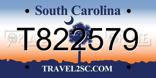 T822579 South Carolina License Plate