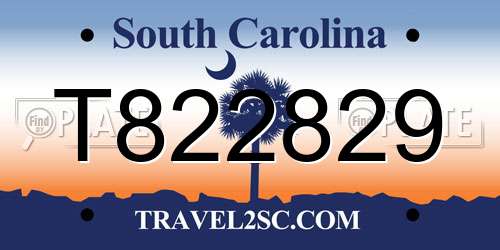 T822829 South Carolina License Plate