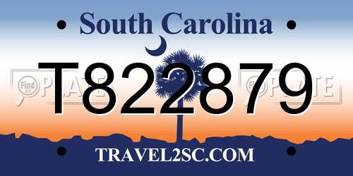 T822879 South Carolina License Plate