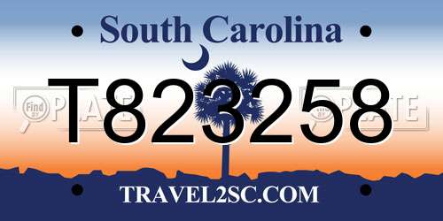 T823258 South Carolina License Plate