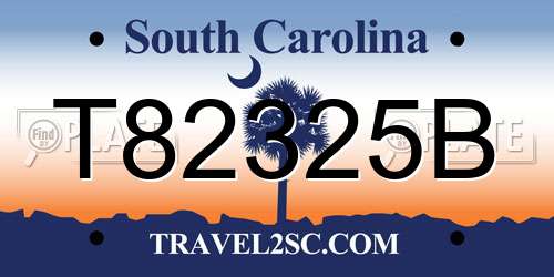 T82325B South Carolina License Plate
