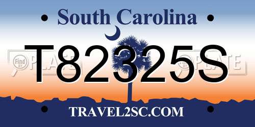 T82325S South Carolina License Plate