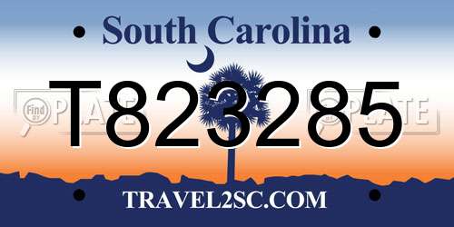 T823285 South Carolina License Plate