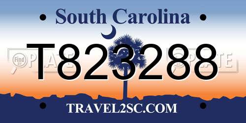 T823288 South Carolina License Plate