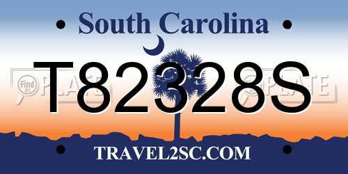 T82328S South Carolina License Plate