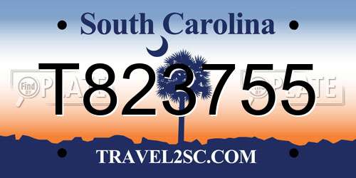 T823755 South Carolina License Plate