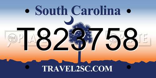 T823758 South Carolina License Plate