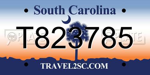 T823785 South Carolina License Plate