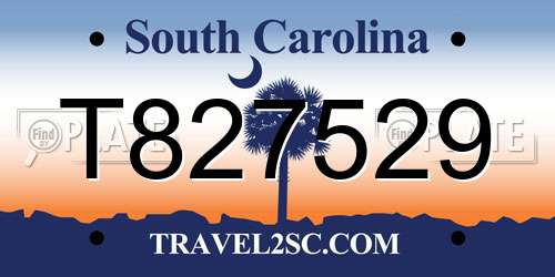 T827529 South Carolina License Plate