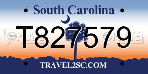 T827579 South Carolina License Plate