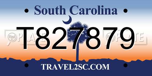 T827879 South Carolina License Plate