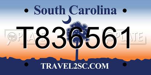 T836561 South Carolina License Plate