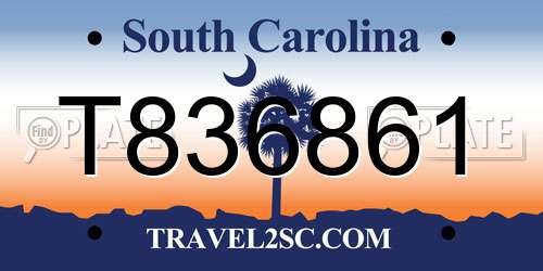 T836861 South Carolina License Plate