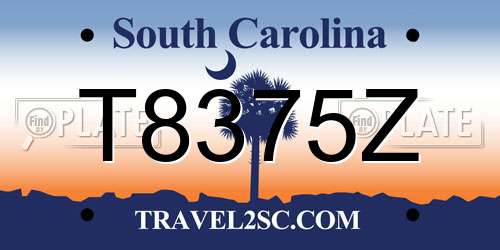 T8375Z South Carolina License Plate