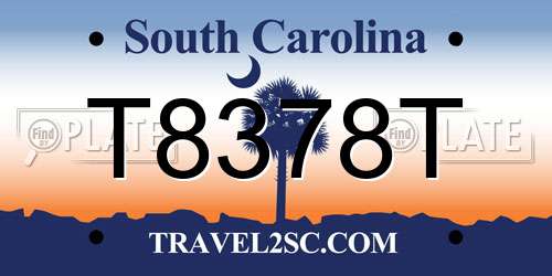 T8378T South Carolina License Plate