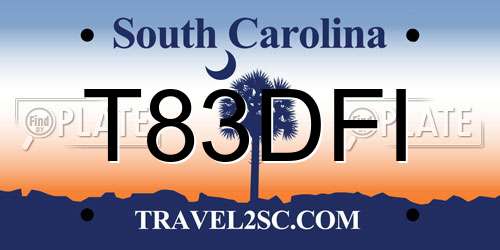 T83DFI South Carolina License Plate