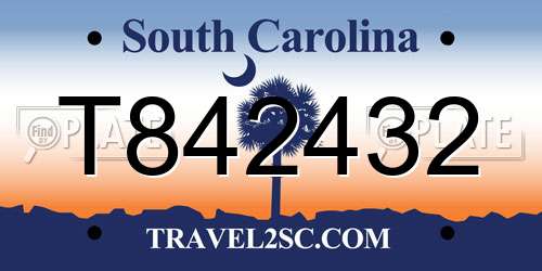 T842432 South Carolina License Plate