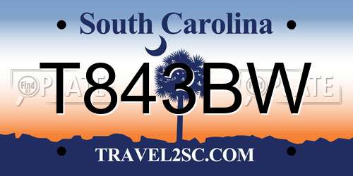 T843BW South Carolina License Plate